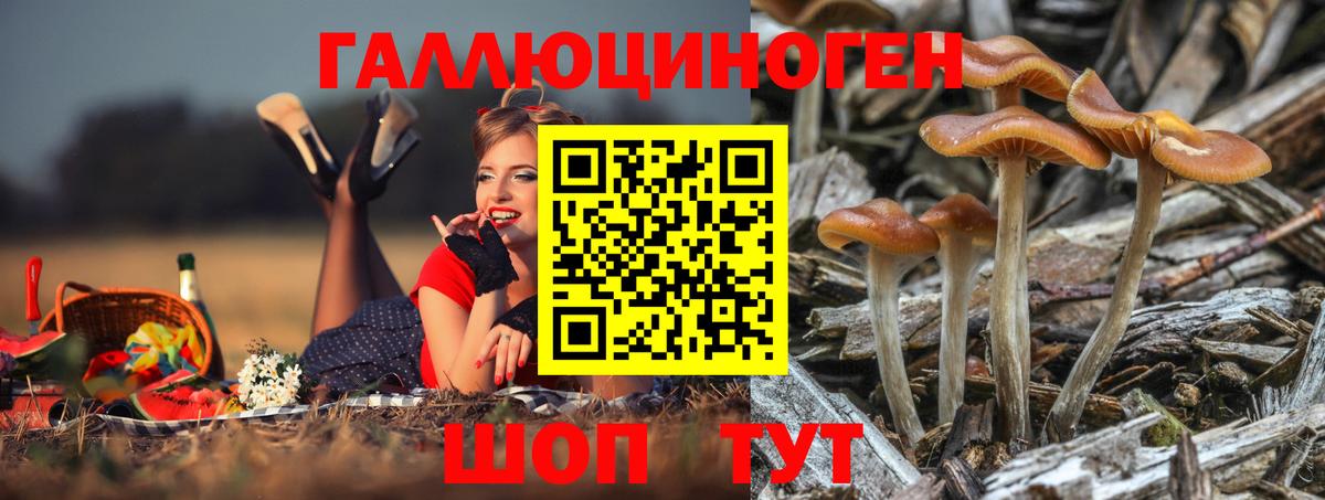 Севастополь  Галлюциногенные грибы MAGIC MUSHROOMS  Галлюциногенные грибы мицелий  Вход с VPN 